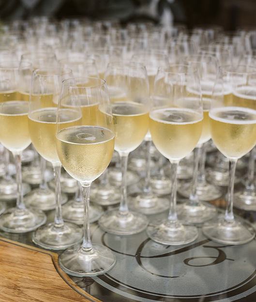 Drinks glasses filled ready for guests